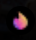 Flave AI